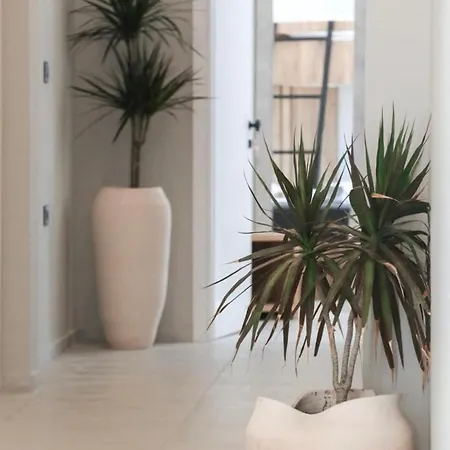 Ξενοδοχείο Kompleksi Muja