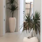 Otel Kompleksi Muja
