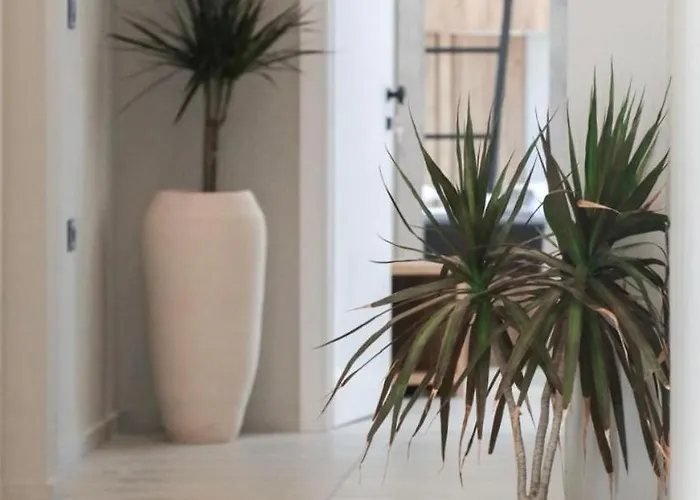 酒店 Kompleksi Muja